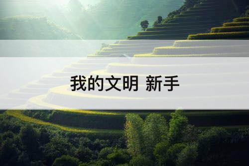 我的文明 新手