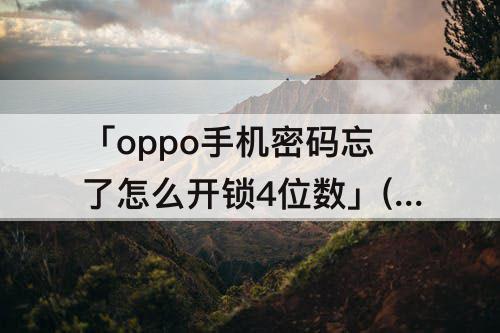 「oppo手机密码忘了怎么开锁4位数」(oppo手机密码忘了怎么开锁4位数字)