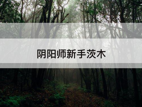 阴阳师新手茨木