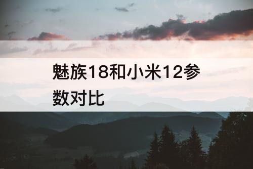 魅族18和小米12参数对比