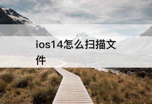 ios14怎么扫描文件