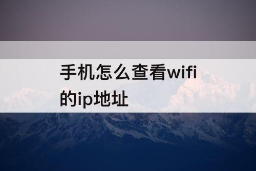 手机怎么查看wifi的ip地址