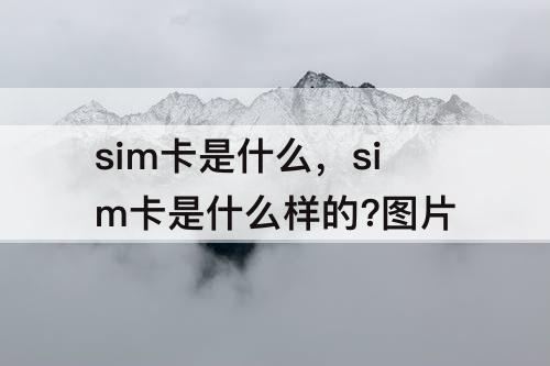 sim卡是什么，sim卡是什么样的？图片