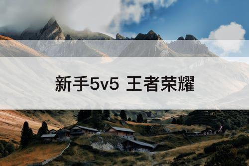 新手5v5 王者荣耀