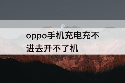 oppo手机充电充不进去开不了机