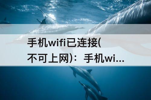 手机wifi已连接(不可上网)：手机wifi已连接(不可上网)怎么解决别的手机可以