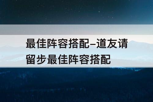 最佳阵容搭配-道友请留步最佳阵容搭配