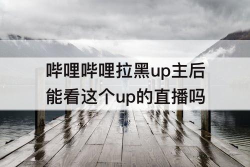 哔哩哔哩拉黑up主后能看这个up的直播吗