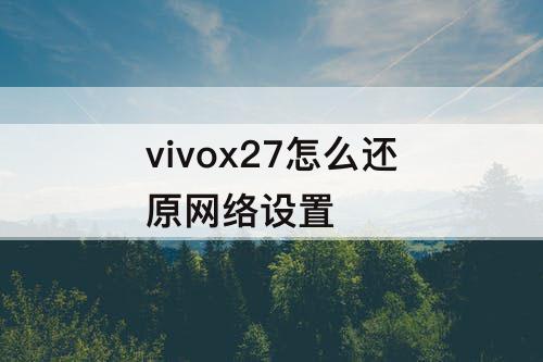 vivox27怎么还原网络设置