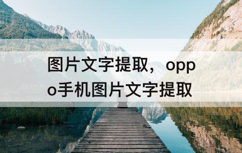 图片文字提取，oppo手机图片文字提取