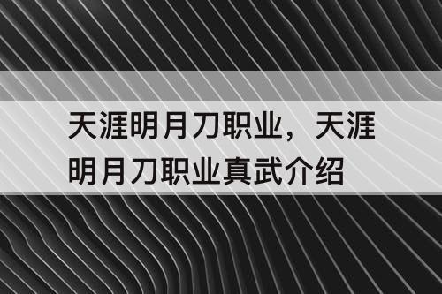 天涯明月刀职业，天涯明月刀职业真武介绍