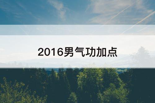 2016男气功加点