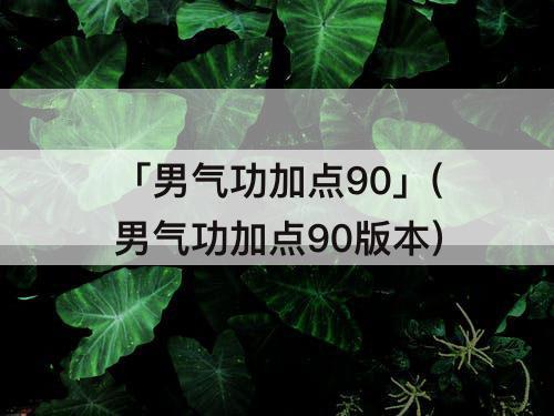 「男气功加点90」(男气功加点90版本)