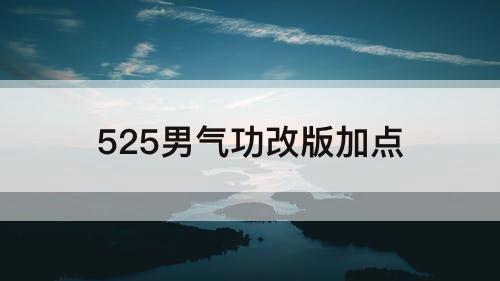 525男气功改版加点