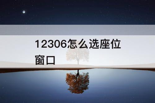 12306怎么选座位窗口