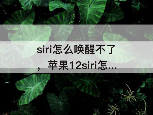 siri怎么唤醒不了，苹果12siri怎么唤醒不了