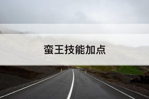 蛮王技能加点