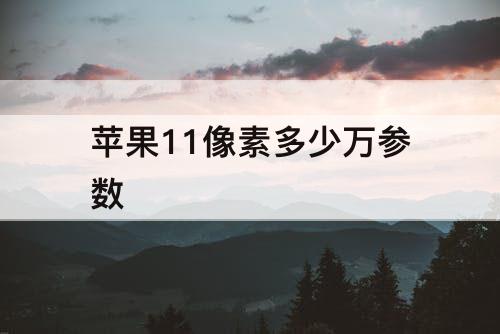 苹果11像素多少万参数