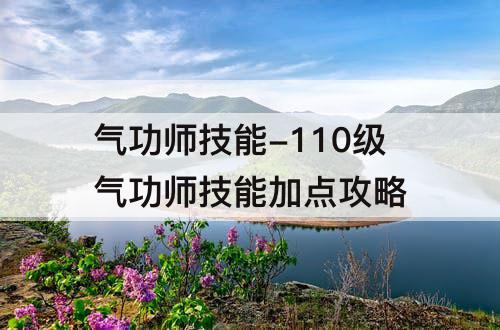 气功师技能-110级气功师技能加点攻略