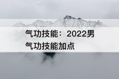 气功技能：2022男气功技能加点