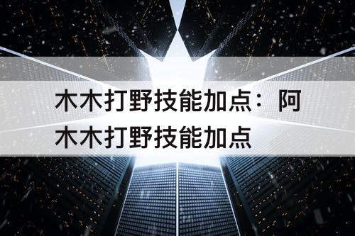 阿木木打野技能加点攻略