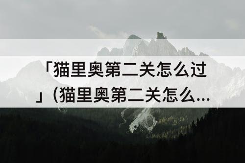 猫里奥第二关怎么过攻略教程