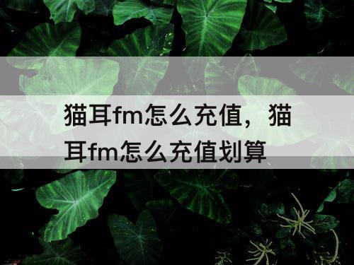 猫耳fm怎么充值，猫耳fm怎么充值划算