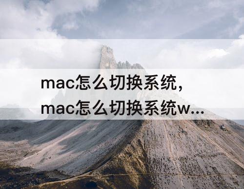 mac怎么切换系统，mac怎么切换系统win10