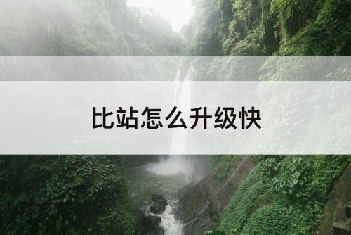 比站怎么升级快