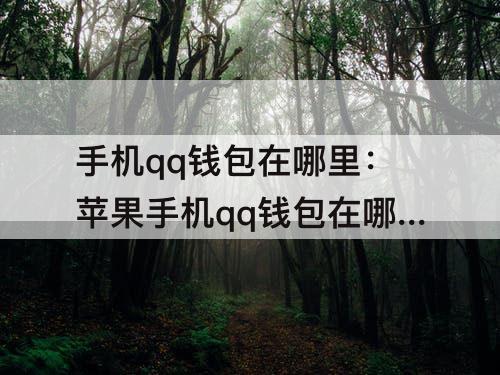 手机qq钱包在哪里：苹果手机qq钱包在哪里