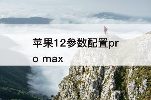 苹果12参数配置pro  max