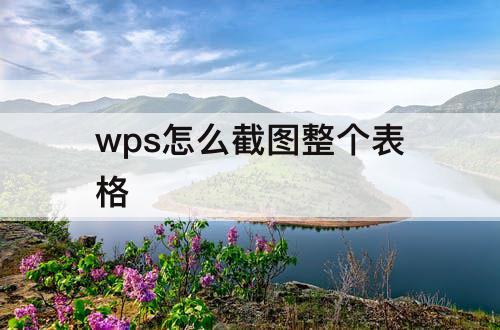 wps怎么截图整个表格