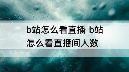 b站怎么看直播 b站怎么看直播间人数