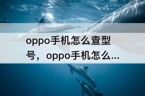 oppo手机怎么查型号，oppo手机怎么查型号和内存