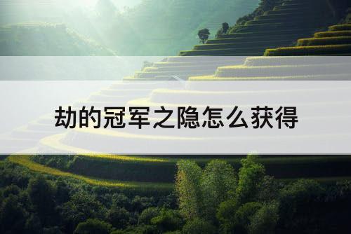 劫的冠军之隐怎么获得