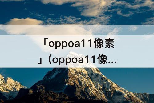 「oppoa11像素」(oppoa11像素多少万6+256)