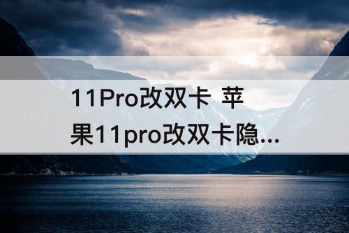 11Pro改双卡 苹果11pro改双卡隐患