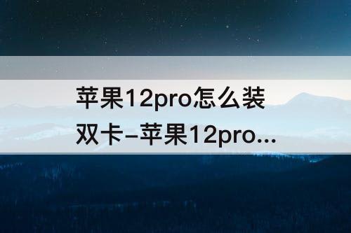 苹果12pro怎么装双卡-苹果12pro怎么装双卡视频