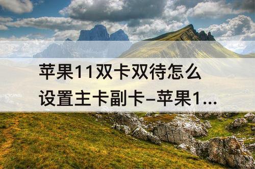 苹果11双卡双待怎么设置主卡副卡-苹果11双卡双待怎么设置主卡副卡铃声