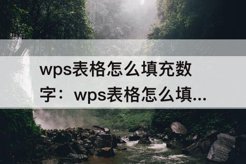 wps表格怎么填充数字：wps表格怎么填充数字序号