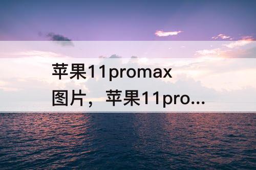 苹果11promax图片，苹果11promax图片颜色