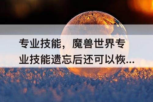 专业技能，魔兽世界专业技能遗忘后还可以恢复吗