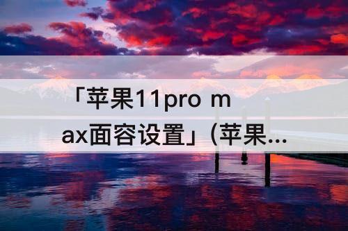 「苹果11pro  max面容设置」(苹果11pro  max面容设置不了怎么回事？)