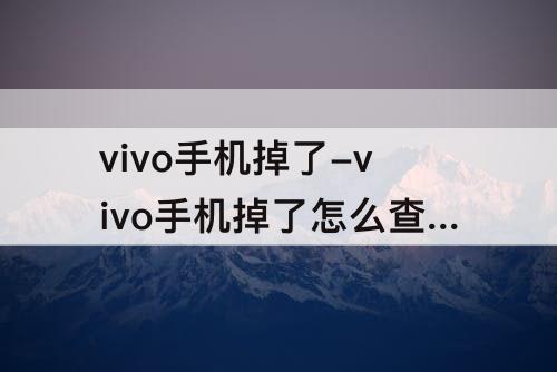 vivo手机掉了-vivo手机掉了怎么查找位置