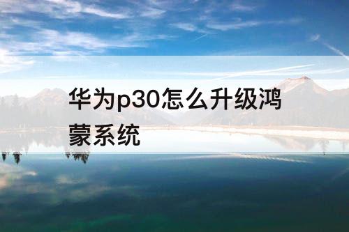 华为p30怎么升级鸿蒙系统