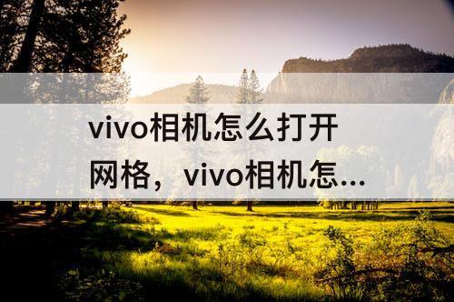 vivo相机怎么打开网格，vivo相机怎么打开网格线