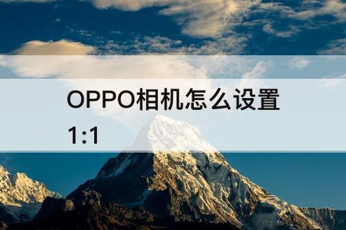 OPPO相机怎么设置1:1