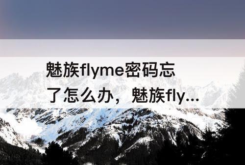 魅族flyme密码忘了怎么办，魅族flyme密码忘了怎么办可以注销或切换帐号