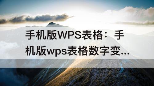 手机版WPS表格：手机版wps表格数字变成e+17