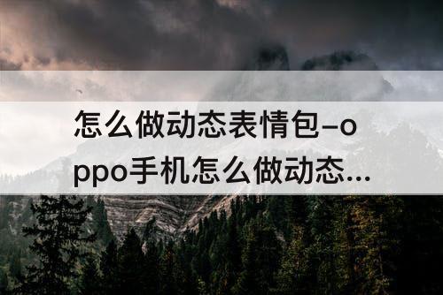 怎么做动态表情包-oppo手机怎么做动态表情包